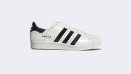 Prada X Adidas Superstar FW6683